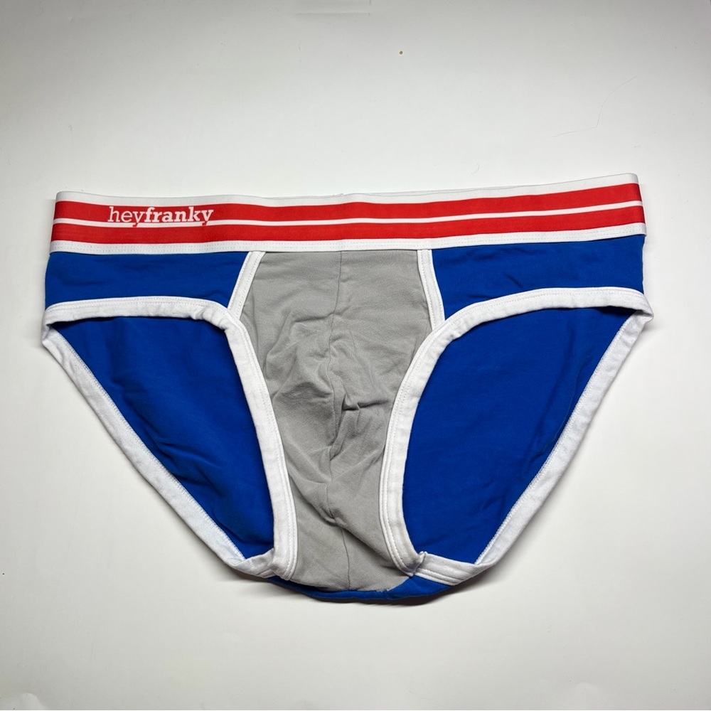Men’s Briefs in Blue & Gray Hey Franky